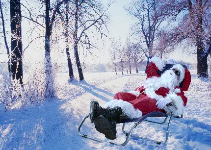 عکس بابانوئل در میان برف و فصل زمستان