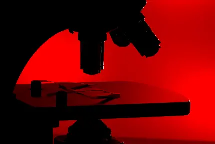 عکس فیک بیمارستانی تلگرام