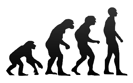 عکس png تکامل بشر از میمون یا شاپانزه به صورت گرافیکی با کیفیت بالا