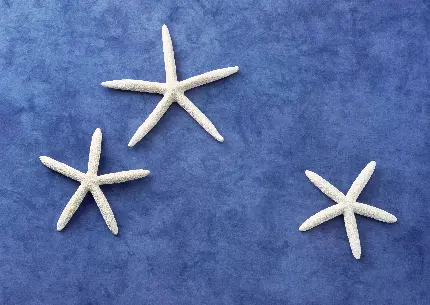 عکس دختر بدون چهره خفن