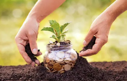 تصویر کاشت درخت با مفهوم سرمایه‌گذاری برای آینده
