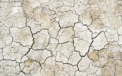 عکس پروفایل برای تیک تاک