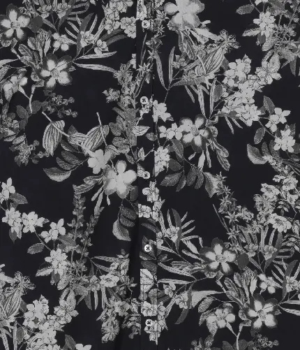 نقاشی سیاه سفید از گل پنبه ای