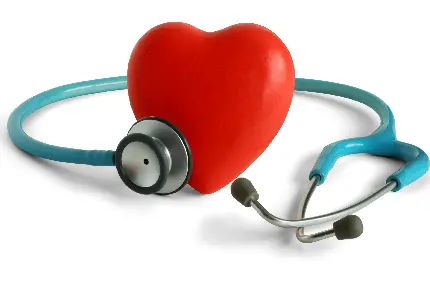 عکس گوشی پزشکی در حال معاینه قلب قرمز، سلامت قلب