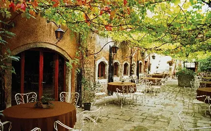 تصویر میز و صندلی کافه‌ها در ایتالیا وسط خیابان و زیر سایه درخت‌ها