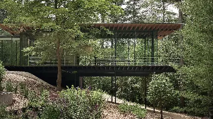 بک گراند ویلا با نمای شیشه‌ای از جنگل