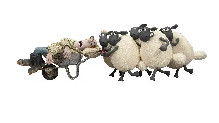 تصویر کارتونی گوسفندهای بازیگوش