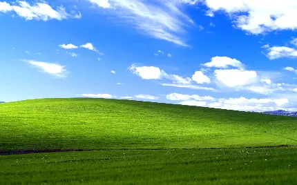 دانلود تصویر زمینه رایگان ویندوز XP