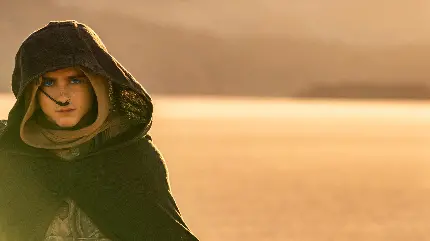 دانلود کاملا رایگان تصاویر زمینه Dune قسمت 2 HD