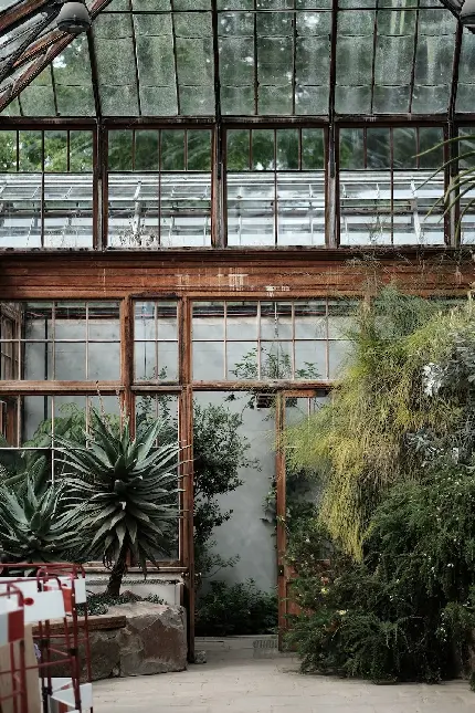 عکس گلخانه کوچولوی خانگی با سقف و دیوارهای شیشه‌ای