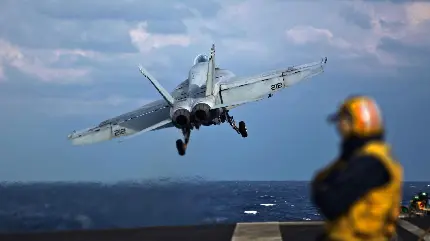 عکس پروفایل برای تیک تاک