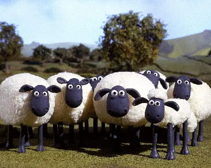 دانلود تصویر انیمیشنی از گوسفندهای سفید سه بعدی