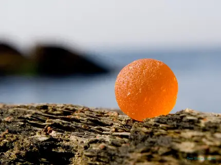 شیشه دریایی نارنجی شفاف