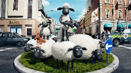 عکس انیمیشن گوسفندهای سفید کیفیت hd