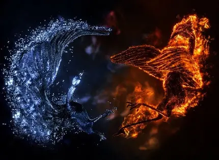 صحنه مبارزه پرنده‌ها با عنصر آتش و آب جادویی