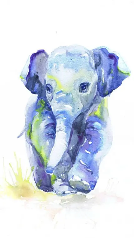 نقاشی بچه فیل با کیفیت بالا و رایگان