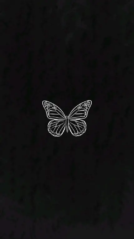 کاور Black استوری و نقاشی بدون رنگ پروانه با کیفیت بالا