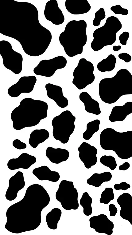 عکس الگوی سیاه سفید گاو برای بک گراند
