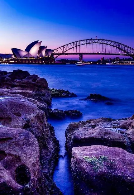 ساحل شهر سیدنی در استرالیا به رنگ بنفش نیلی