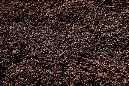 بافت خاک قهوه‌ای واقعی با کیفیت بالا