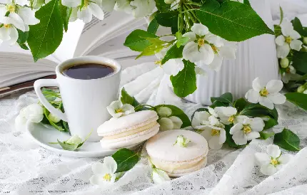 تصویر گل‌های سفید همراه شیرینی و قهوه بهاری