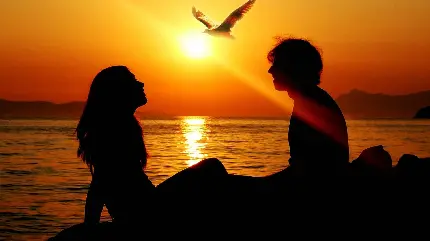 تصویر غروب به خورشید کنار ساحل زن و شوهری