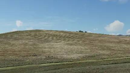 عکس واقعی از تپه ویندوز XP