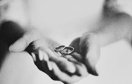 عروس و داماد با حلقه‌های عروسی سیاه سفید