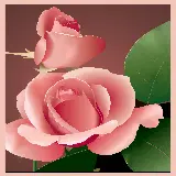 چاپ قاب موبایل و گوشی عکس گل با رنگ گلبه ای زیبا و عاشقانه
