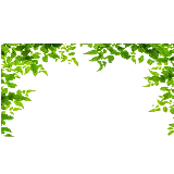 چاپ قاب موبایل و گوشی والپیپر قالب اینستاگرام به شکل برگ های سبز