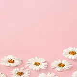 چاپ قاب موبایل و گوشی دانلود بک گراند برای نوشتن متن صورتی بهاری