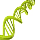 چاپ قاب موبایل و گوشی عکس رشته مولکولی دی ان ای DNA با کیفیت بالا