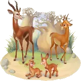 چاپ قاب موبایل و گوشی نقاشی خانواده خوشحال اهو یا غزل