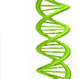 چاپ قاب موبایل و گوشی عکس ساختار مولکولی DNA با کیفیت بالا