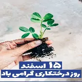چاپ قاب موبایل و گوشی عکس تبریک درختکاری در تاریخ 15 اسفند